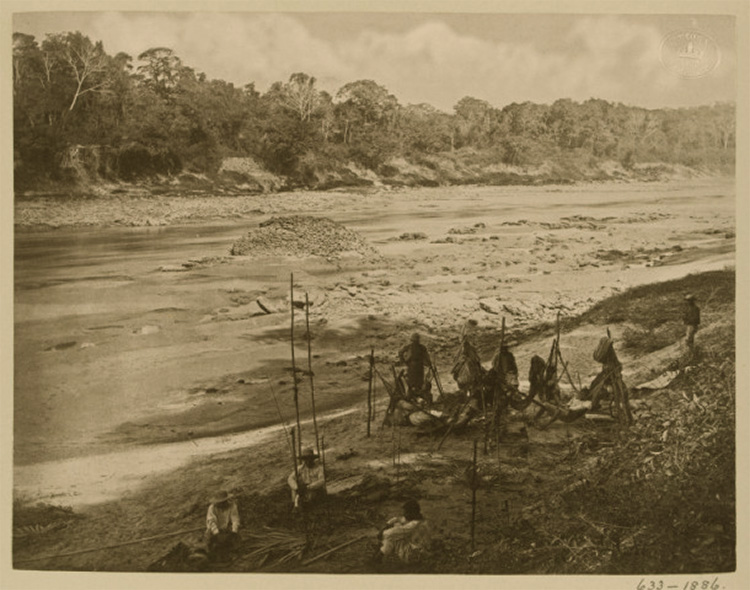 Fotografies