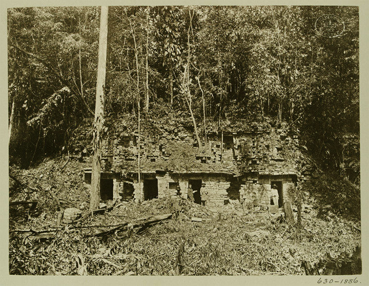 Fotografies
